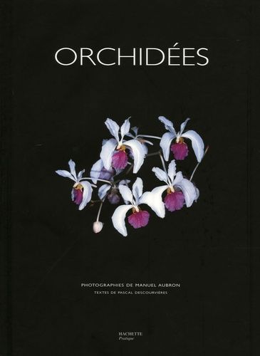 Orchidées