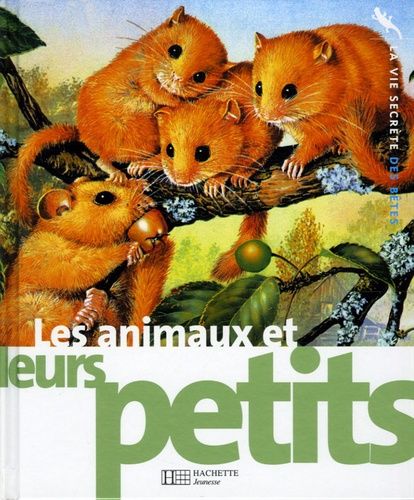 Les animaux et leurs petits