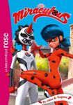 Miraculous Tome 22