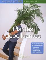 Plantes dépolluantes
