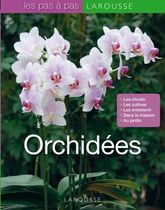 Orchidées Orchidées