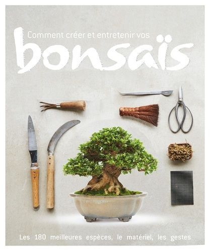 Comment créer et entretenir vos bonsaïs