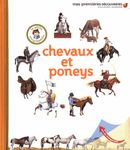 Chevaux et poneys