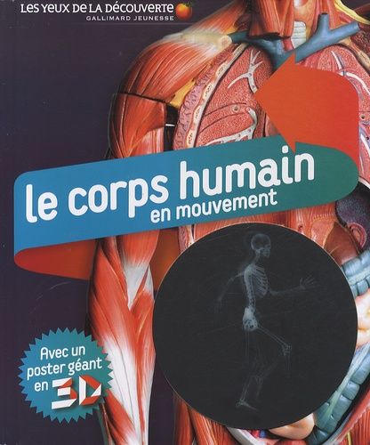 Le corps humain en mouvement