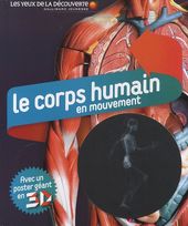 Le corps humain en mouvement