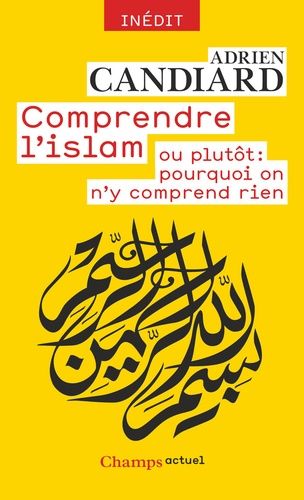 Comprendre l'islam ou plutôt : pourquoi on n'y comprend rien Comprendre l'islam ou plutôt : pourquoi on n'y comprend rien