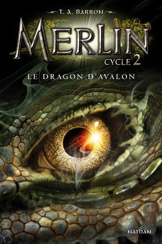 Merlin Cycle 2 Tome 1