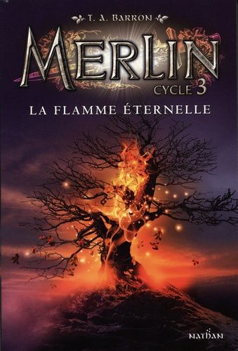 Merlin Tome 3