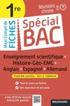 Enseignement scientifique + Histoire-Géo-EMC + Anglais + Espagnol + Allemand 1re