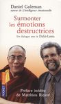 Surmonter les émotions destructrices - Un dialogue avec le Dalaï-Lama Surmonter les émotions destructrices - Un dialogue avec le Dalaï-Lama