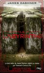 Le labyrinthe - Tome 1