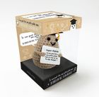 Je suis peut-être une petite patate mais je crois en toi, tu vas réussir ! - Coffret avec une mini-peluche et un carnet rempli de phrases motivantes