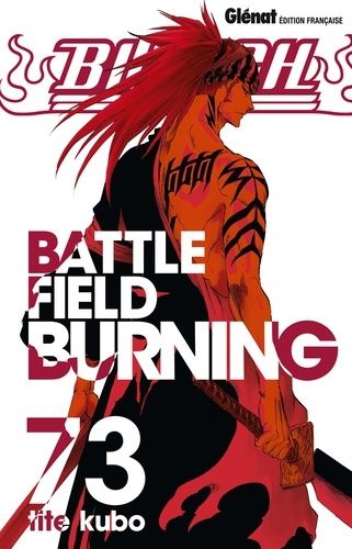 Bleach Tome 73 Bleach Tome 73