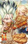 Dr Stone Tome 11