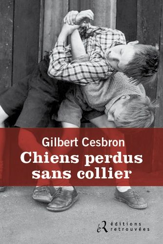 Chiens perdus sans collier Chiens perdus sans collier