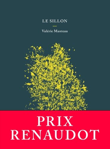 Le sillon Le sillon