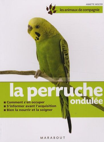 La perruche ondulée