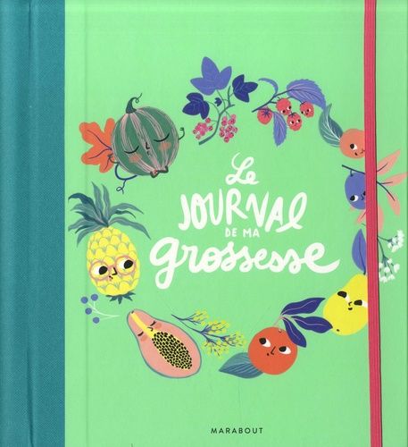 Le journal de ma grossesse