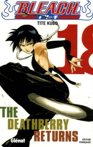 Bleach Tome 18 Bleach Tome 18