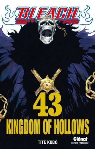 Bleach Tome 43 Bleach Tome 43