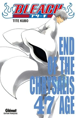 Bleach Tome 47 Bleach Tome 47