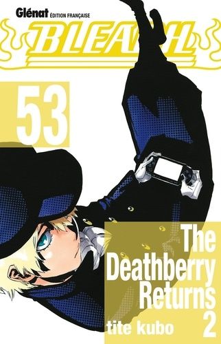 Bleach Tome 53 Bleach Tome 53