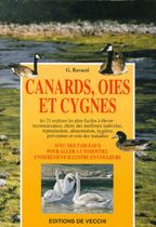 Canards, oies et cygnes