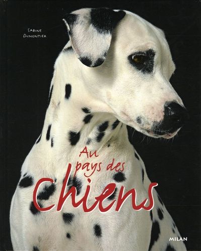 Au pays des chiens