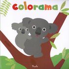 Colorama Koala