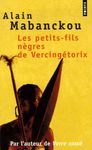 Les petit-fils nègres de Vercingétorix