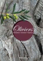 Oliviers - Plantation - Entretiens - Espèces