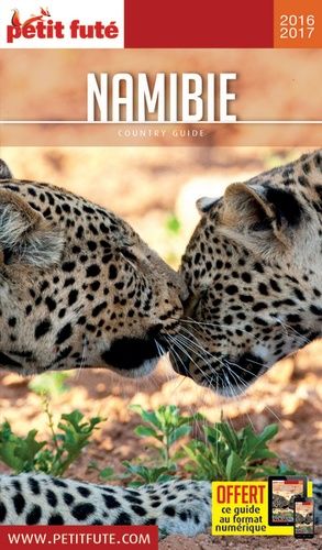 Petit Futé Namibie