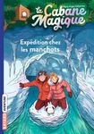 La cabane magique Tome 35