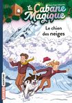 La cabane magique Tome 41