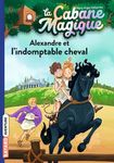 La cabane magique Tome 44